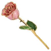 Lacquer Dipped Gold Trim Dusty Pink Rose ,
