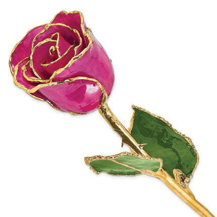 Lacquer Dipped Gold Trim Fuchsia Rose ,