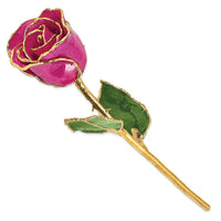 Lacquer Dipped Gold Trim Fuchsia Rose ,