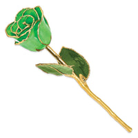 Lacquer Dipped Gold Trim Geo Green Rose ,