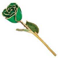 Lacquer Dipped Gold Trim Green Rose ,