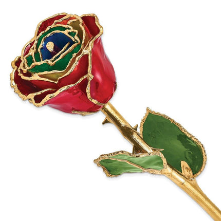 Lacquer Dipped Gold Trim Gypsy Rainbow Rose ,