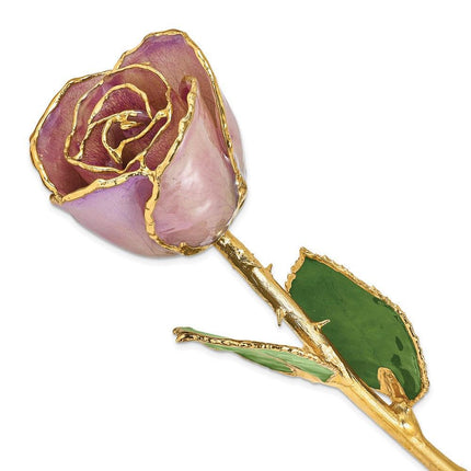 Lacquer Dipped Gold Trim Lavender Rose ,