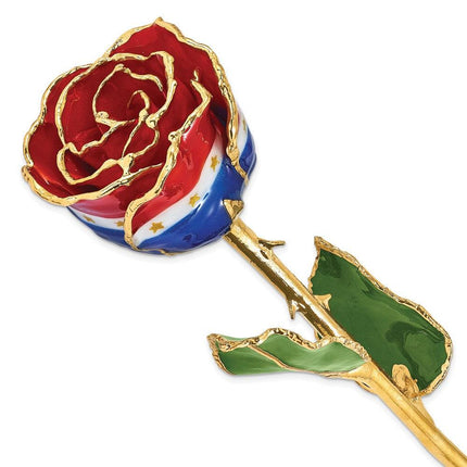 Lacquer Dipped Gold Trim Liberty Rose ,