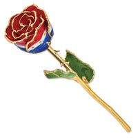 Lacquer Dipped Gold Trim Liberty Rose ,