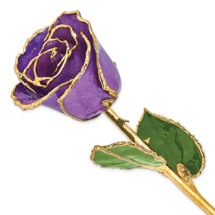 Lacquer Dipped Gold Trim Lilac Rose ,
