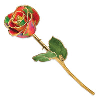 Lacquer Dipped Gold Trim Paradise Neon Tie Dyed Rose ,
