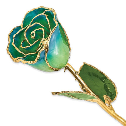 Lacquer Dipped Gold Trim Peridot & Navy Pearl Rose ,