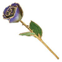Lacquer Dipped Gold Trim Peridot/Blue Violet Pearl Rose ,