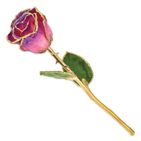 Lacquer Dipped Gold Trim Pink Amethyst Rose ,