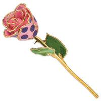Lacquer Dipped Gold Trim Pink & Purple Dots Rose ,
