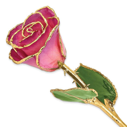 Lacquer Dipped Gold Trim Pink Picasso Rose ,