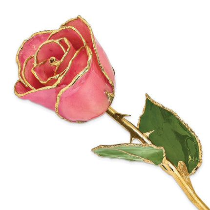 Lacquer Dipped Gold Trim Pink Rose ,