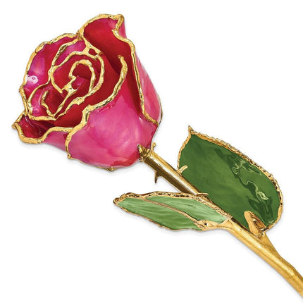 Lacquer Dipped Gold Trim Plum Fuchsia Rose ,