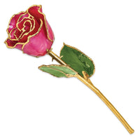 Lacquer Dipped Gold Trim Plum Fuchsia Rose ,