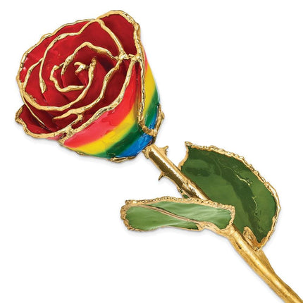 Lacquer Dipped Gold Trim Rainbow Rose ,