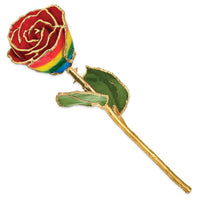 Lacquer Dipped Gold Trim Rainbow Rose ,