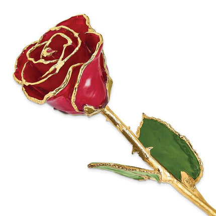 Lacquer Dipped Gold Trim Red Rose ,