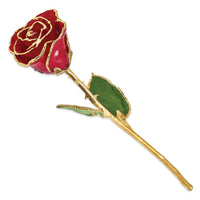 Lacquer Dipped Gold Trim Red Rose ,