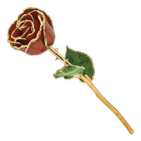 Lacquer Dipped Gold Trim Root Beer Rose ,