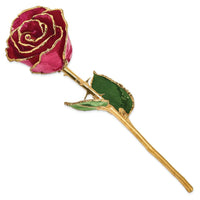Lacquer Dipped Gold Trim Ruby Sun Rose ,