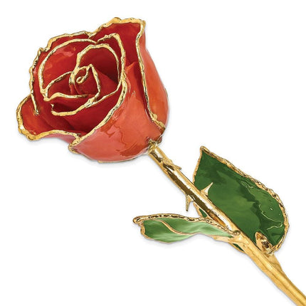 Lacquer Dipped Gold Trim Sonia Pearl Rose ,