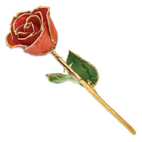 Lacquer Dipped Gold Trim Sonia Pearl Rose ,