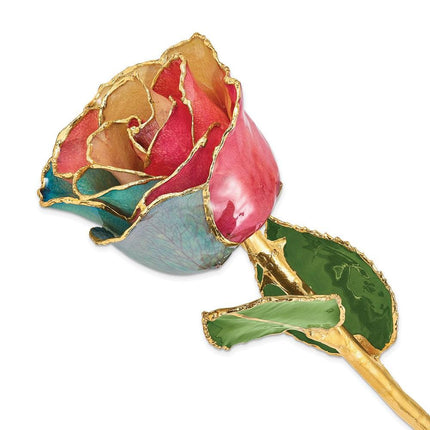 Lacquer Dipped Gold Trim Tri-color Rose ,