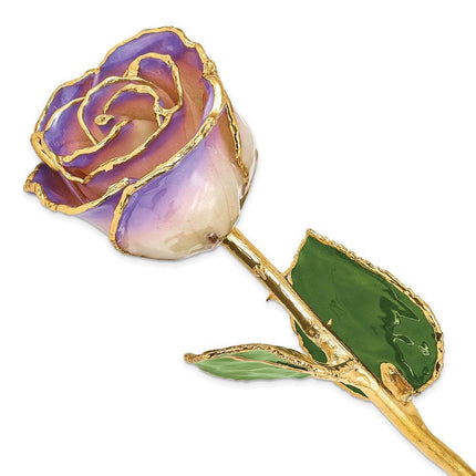 Lacquer Dipped Gold Trim White & Blue Opal Rose ,