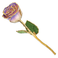 Lacquer Dipped Gold Trim White & Blue Opal Rose ,