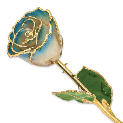 Lacquer Dipped Gold Trim White & Navy Blue Pearl Rose ,