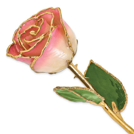 Lacquer Dipped Gold Trim White Pink Rose ,