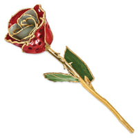 Lacquer Dipped Gold Trim White/Red w/Holes Rose ,