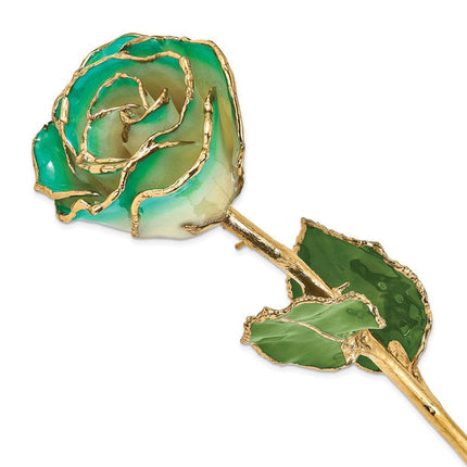 Lacquer Dipped Gold Trim White/Turquoise Green Rose ,