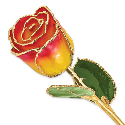 Lacquer Dipped Gold Trim Yellow Red Rose ,
