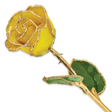 Lacquer Dipped Gold Trim Yellow Rose ,