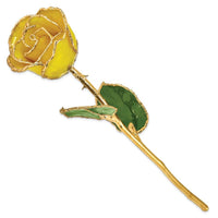 Lacquer Dipped Gold Trim Yellow Rose ,