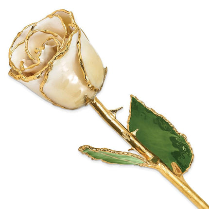 Lacquer Dipped Gold Trimmed Cream/White Rose ,