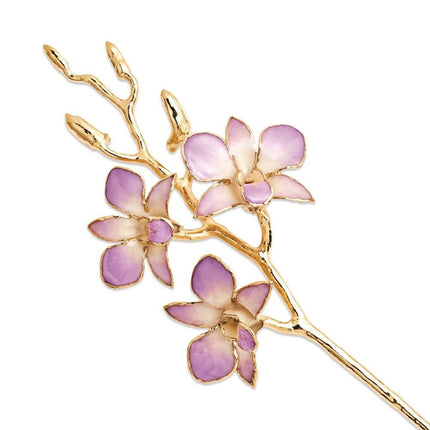 Lacquer Dipped Gold Trimmed Lilac & White Orchid Stem ,