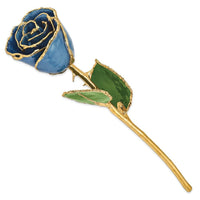 Lacquer Dipped Gold Trimmed Navy Pearl Rose ,