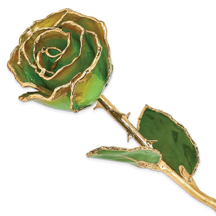 Lacquer Dipped Gold Trimmed Peridot/Orange Rose ,