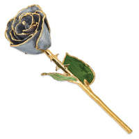 Lacquer Dipped Gold Trimmed Silver Moon Stone Rose ,
