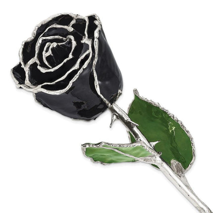 Lacquer Dipped Silver Trim Black Rose ,