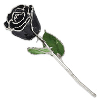 Lacquer Dipped Silver Trim Black Rose ,