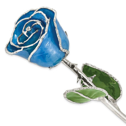 Lacquer Dipped Silver Trim Blue Rose ,
