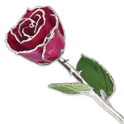 Lacquer Dipped Silver Trim Burgundy Rose ,