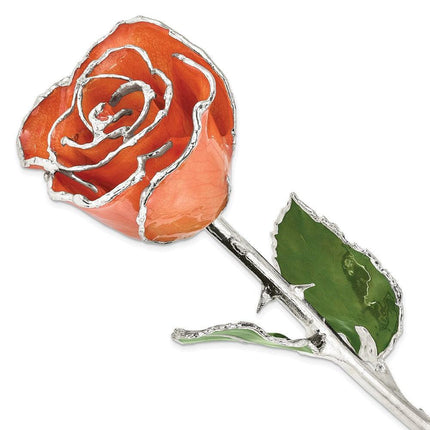 Lacquer Dipped Silver Trim Orange Rose ,