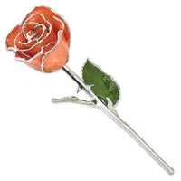 Lacquer Dipped Silver Trim Orange Rose ,
