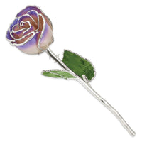 Lacquer Dipped Silver Trim White/Blue Opal Rose ,