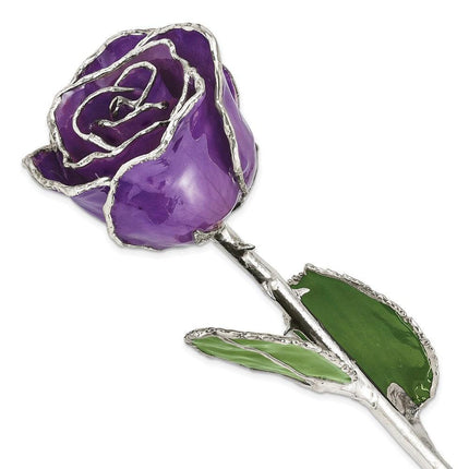 Lacquer Dipped Silver Trimmed Lilac Rose ,
